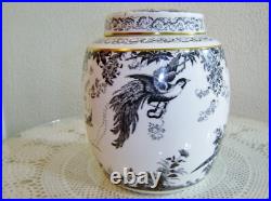 Royal Crown Derby 7 1/4 inch Black Aves Ginger Jar