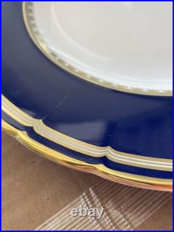 Royal Crown Derby Ashbourne Dinner Plate 5 Piece Setting Store Display