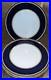Royal-Crown-Derby-Ashbourne-Set-Of-4-Dinner-4-Salad-Plates-Retail-Value-1788-01-pako