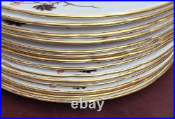 Royal Crown Derby BEAUMONT A569 10.5 Inch Dinner Plates Set of 13 Mint Cond