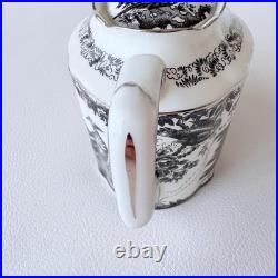 Royal Crown Derby Black Aves Platinum Tea Pot Bone China Floral 7.6
