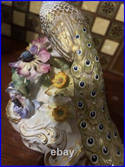 Royal Crown Derby Bone China Peacock Figurine Flower Signed J Gould 7x7 VGC