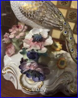 Royal Crown Derby Bone China Peacock Figurine Flower Signed J Gould 7x7 VGC