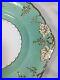 Royal-Crown-Derby-Celadon-Vine-9-75-Inch-CAKE-PASTRY-PLATE-Multiples-01-ceup