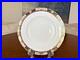 Royal-Crown-Derby-Chelsea-Garden-10-Dinner-Plate-New-01-qg