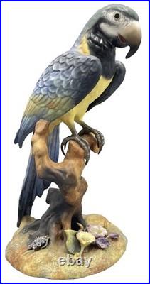 Royal Crown Derby China Parrot Macaw Large Size Mint