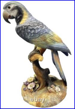 Royal Crown Derby China Parrot Macaw Large Size Mint