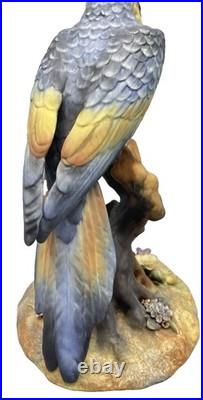 Royal Crown Derby China Parrot Macaw Large Size Mint
