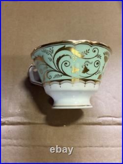 Royal Crown Derby Darley Abbey Tea Cup BRAND NEW