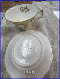 Royal Crown Derby Derby Panel Green Teacup & Saucer, NEW