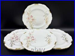 Royal Crown Derby Devonshire Dinner Plates(Set of 6) Bone China England