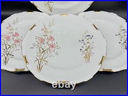 Royal Crown Derby Devonshire Dinner Plates(Set of 6) Bone China England