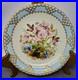 Royal-Crown-Derby-Floral-Decorated-Cabinet-Plate-with-Gold-Jewels-1884-8-3-4-01-sgs