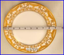 Royal Crown Derby For Tiffany & Co NY Encrusted 9 Plate (B) Ca 1912