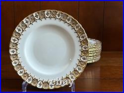 Royal Crown Derby HERALDIC GOLD bone china salad plates set of 11, superb
