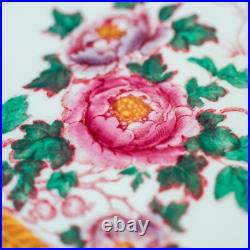 Royal Crown Derby Hand-Painted Aves 10 Gorgeous Dinner Plates 26cm (10)