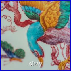 Royal Crown Derby Hand-Painted Aves 10 Gorgeous Dinner Plates 26cm (10)