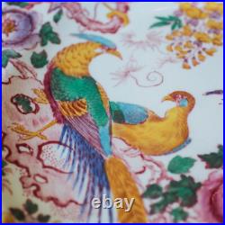 Royal Crown Derby Hand-Painted Aves 10 Gorgeous Dinner Plates 26cm (10)