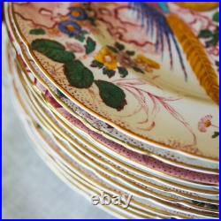 Royal Crown Derby Hand-Painted Aves 10 Gorgeous Dinner Plates 26cm (10)