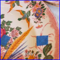 Royal Crown Derby Hand-Painted Aves 10 Gorgeous Dinner Plates 26cm (10)