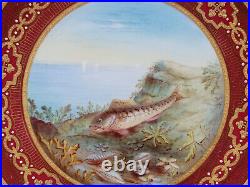 Royal Crown Derby Hand Painted Fish Gold & White Beaded & Red 9 1/8 Inch Plate B