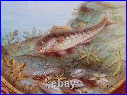 Royal Crown Derby Hand Painted Fish Gold & White Beaded & Red 9 1/8 Inch Plate B