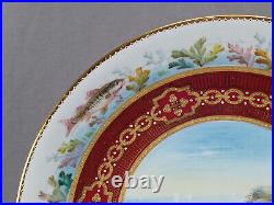 Royal Crown Derby Hand Painted Fish Gold & White Beaded & Red 9 1/8 Inch Plate B