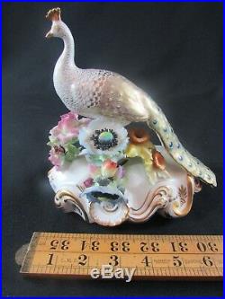 Royal Crown Derby Low Peacock Figure #F312 c. 1935