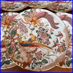 Royal Crown Derby Olde Aves Dinner Plates 27cm Set of 6 Vintage 1973