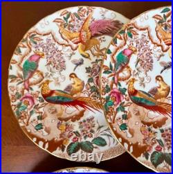 Royal Crown Derby Olde Aves Dinner Plates 27cm Set of 6 Vintage 1973