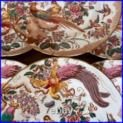 Royal Crown Derby Olde Aves Dinner Plates 27cm Set of 6 Vintage 1973