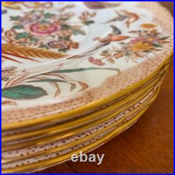 Royal Crown Derby Olde Aves Dinner Plates 27cm Set of 6 Vintage 1973