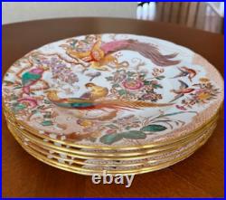 Royal Crown Derby Olde Aves Dinner Plates 27cm Set of 6 Vintage 1973