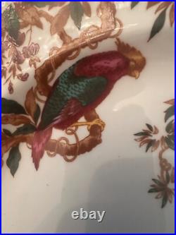 Royal Crown Derby Olde Avesbury 16 Oval Serving platter Bone china