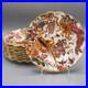 Royal-Crown-Derby-Olde-Avesbury-Sheffield-Dessert-Plates-Set-of-12-8-3-4-01-ky
