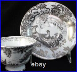 Royal Crown Derby PLATINUM AVES Footed Cup & Saucer Bone China A+ CONDITION
