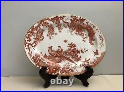 Royal Crown Derby RED AVES 16in Oval Serving Platter