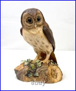 Royal Crown Derby Rare Large Brown Owl 10 Artist Signed CJ XXXIII 1970's READ
