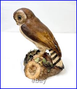 Royal Crown Derby Rare Large Brown Owl 10 Artist Signed CJ XXXIII 1970's READ