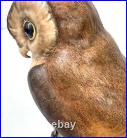 Royal Crown Derby Rare Large Brown Owl 10 Artist Signed CJ XXXIII 1970's READ
