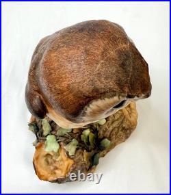 Royal Crown Derby Rare Large Brown Owl 10 Artist Signed CJ XXXIII 1970's READ