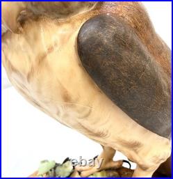 Royal Crown Derby Rare Large Brown Owl 10 Artist Signed CJ XXXIII 1970's READ