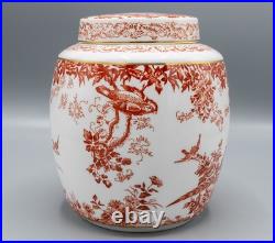 Royal Crown Derby Red Aves Medium Ginger Jar 7 2nd Quality FREE USA SHIPPING