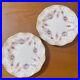 Royal-Crown-Derby-Royal-Antoinette-Plate-15cm-Pair-Set-01-bc