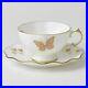 Royal-Crown-Derby-Royal-Butterfly-Tea-Cup-Saucer-01-gp