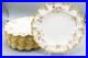 Royal-Crown-Derby-Royal-St-James-Dinner-Plates-Set-of-12-10-3-8-FREE-USA-SHIP-01-hvbm
