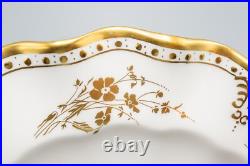 Royal Crown Derby Royal St James Dinner Plates Set of 12- 10 3/8 -FREE USA SHIP