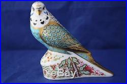 Royal Crown Derby Sky Blue Budgerigar Paperweight Boxed MMVII