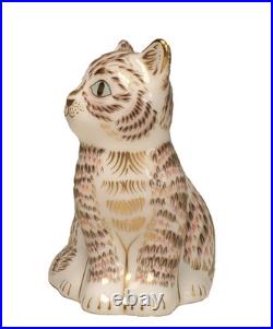 Royal Crown Derby Thomas Cat Limited Edition of 1500 Small 3