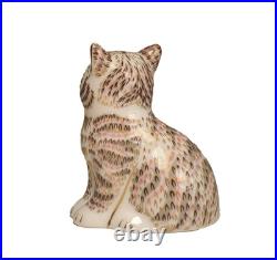 Royal Crown Derby Thomas Cat Limited Edition of 1500 Small 3